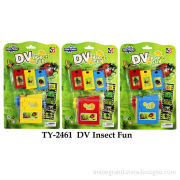 DV Insect Fun